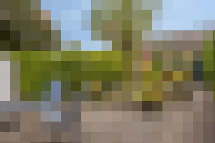 Karel de Stoutestraat 17 's-Hertogenbosch thumbnail 36