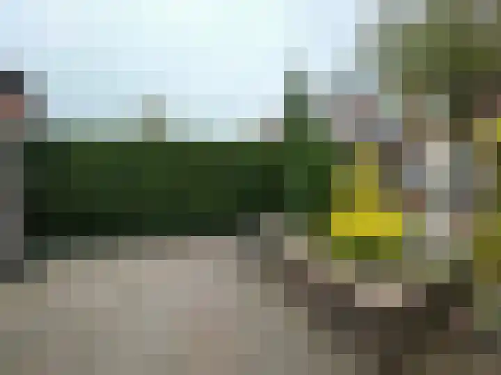 Karel de Stoutestraat 17 's-Hertogenbosch thumbnail 38