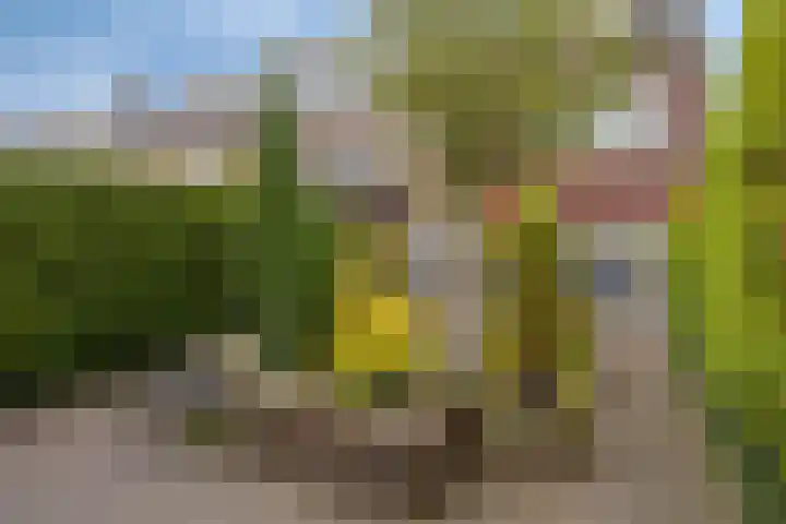 Karel de Stoutestraat 17 's-Hertogenbosch thumbnail 4