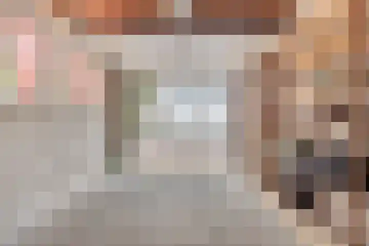 Karel de Stoutestraat 17 's-Hertogenbosch thumbnail 41