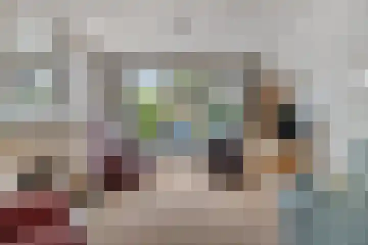 Karel de Stoutestraat 17 's-Hertogenbosch thumbnail 7