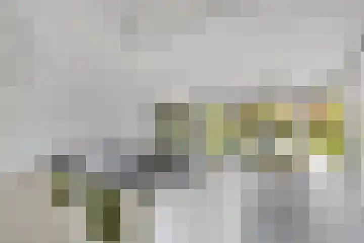 Karel de Stoutestraat 3 Vlissingen thumbnail 12