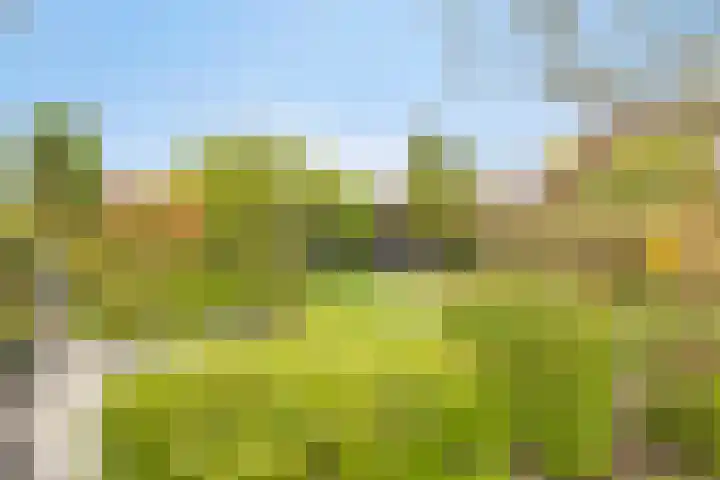 Karel de Stoutestraat 3 Vlissingen thumbnail 21