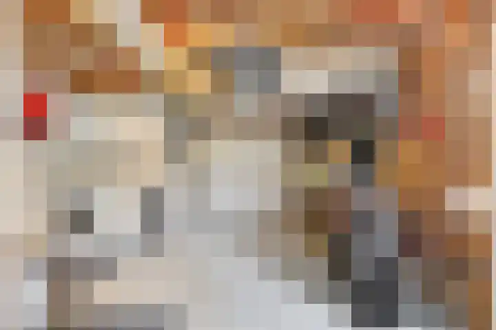 Karel de Stoutestraat 3 Vlissingen thumbnail 25