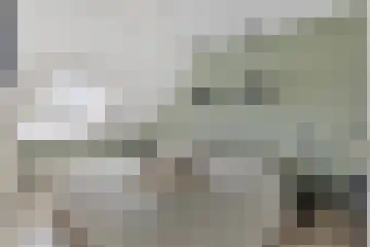 Karel de Stoutestraat 3 Vlissingen thumbnail 27