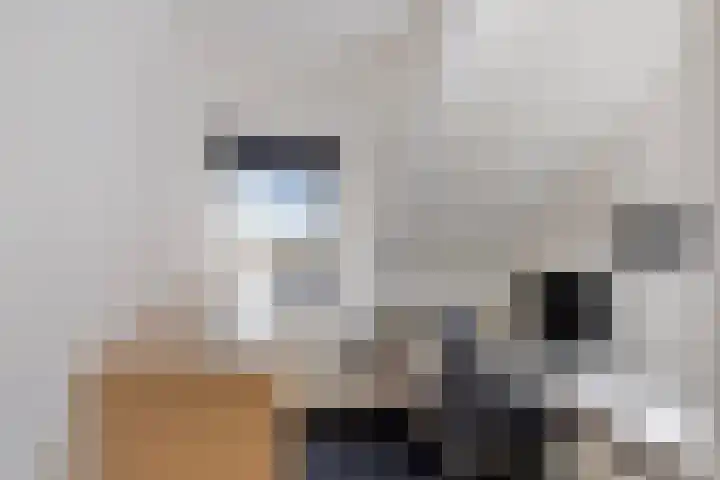 Karel de Stoutestraat 3 Vlissingen thumbnail 36
