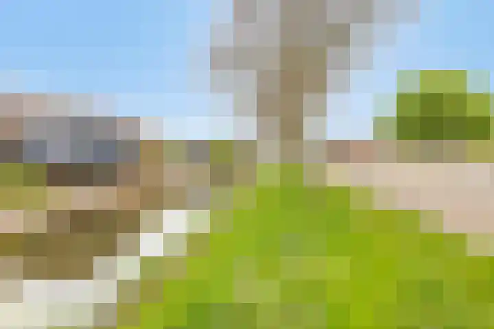 Karel de Stoutestraat 3 Vlissingen thumbnail 41
