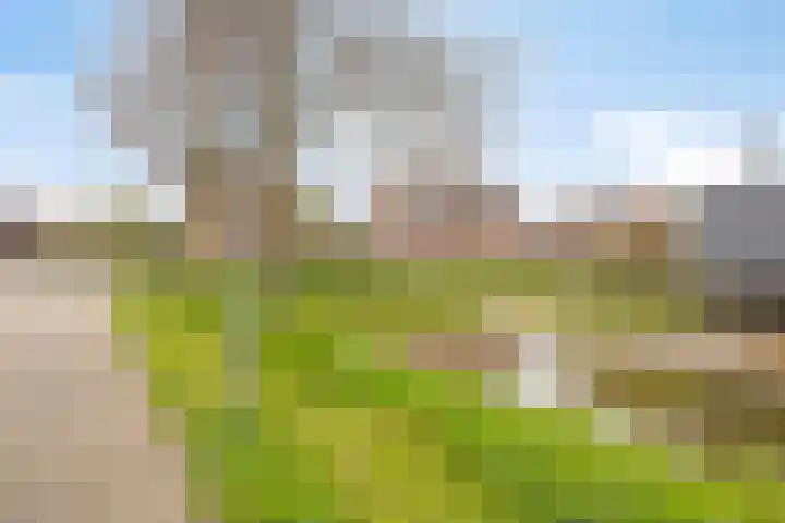 Karel de Stoutestraat 3 Vlissingen thumbnail 42
