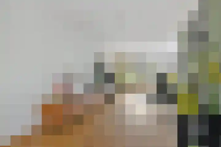 Karel de Stoutestraat 3 Vlissingen thumbnail 6