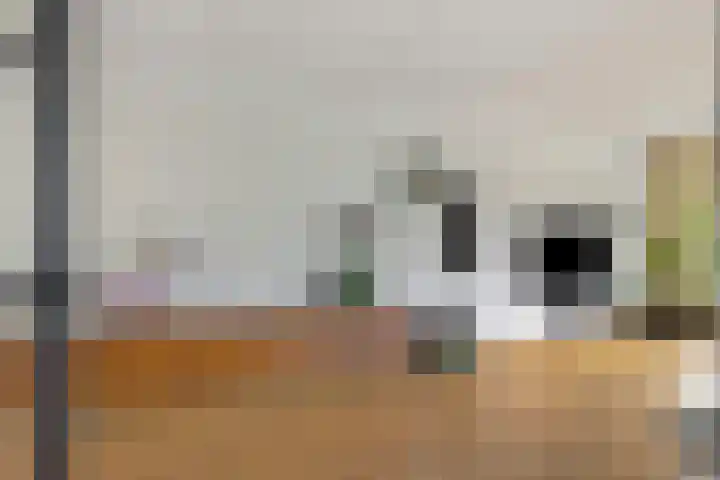 Karel de Stoutestraat 3 Vlissingen thumbnail 7