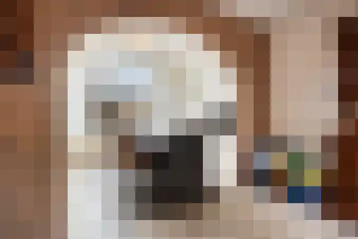 Karel de Stoutestraat 30 Oss thumbnail 14