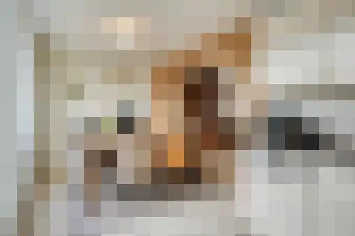 Karel de Stoutestraat 30 Oss thumbnail 17
