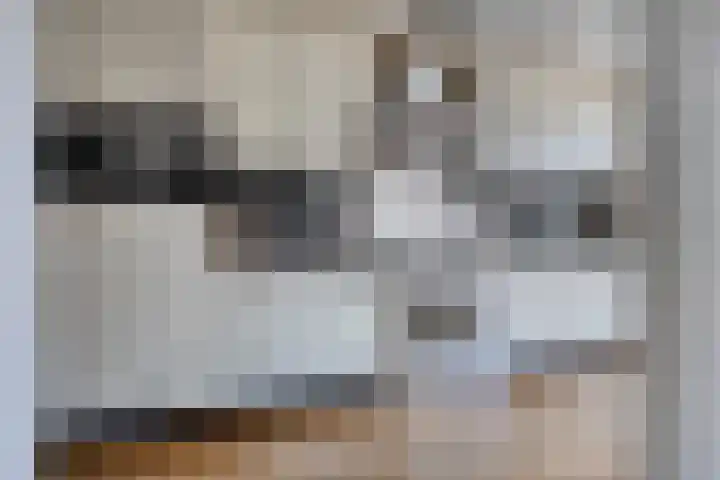 Karel de Stoutestraat 34 Oss thumbnail 13