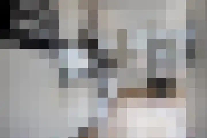 Karel de Stoutestraat 34 Oss thumbnail 14