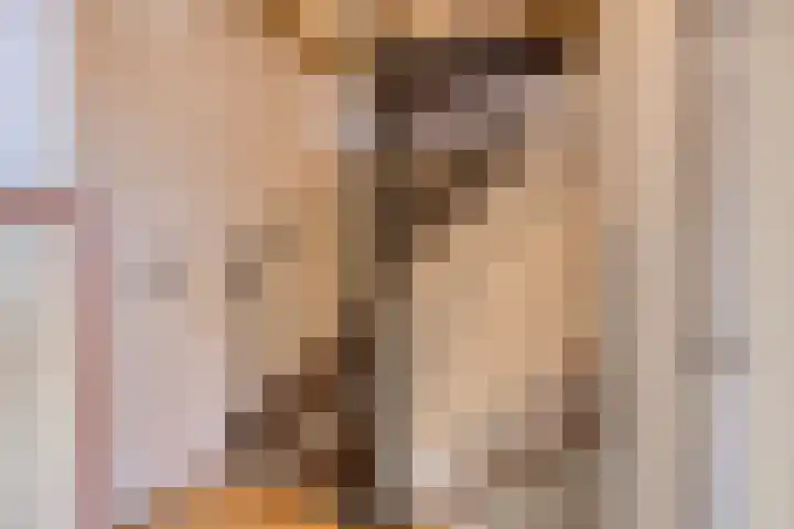Karel de Stoutestraat 34 Oss thumbnail 28
