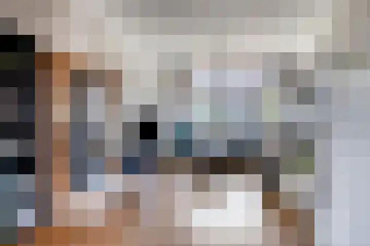 Karel de Stoutestraat 34 Oss thumbnail 8