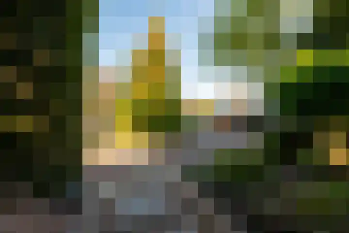 Karel de Stoutestraat 36 Hellevoetsluis thumbnail 16
