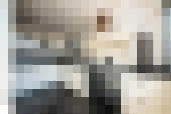 Karel de Stoutestraat 36 Hellevoetsluis thumbnail 32