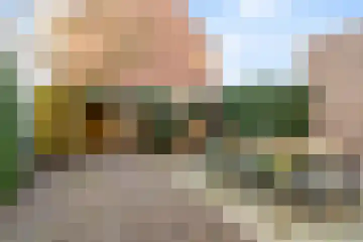 Karel de Vijfdestraat 15 's-Hertogenbosch thumbnail 20