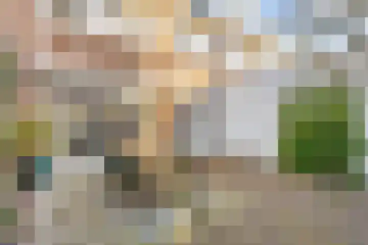 Karel de Vijfdestraat 15 's-Hertogenbosch thumbnail 23