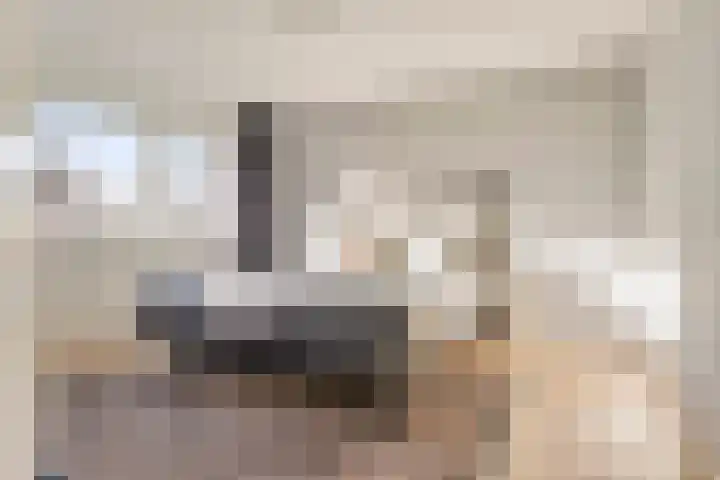 Karel de Vijfdestraat 15 's-Hertogenbosch thumbnail 27