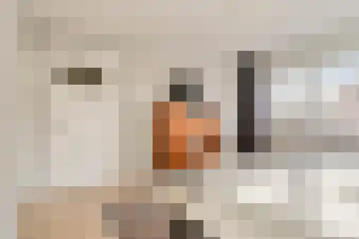 Karel de Vijfdestraat 15 's-Hertogenbosch thumbnail 30