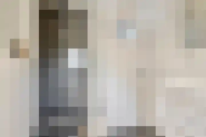 Karel de Vijfdestraat 15 's-Hertogenbosch thumbnail 37