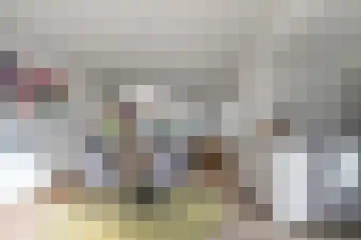 Karel de Vijfdestraat 3 's-Hertogenbosch thumbnail 11