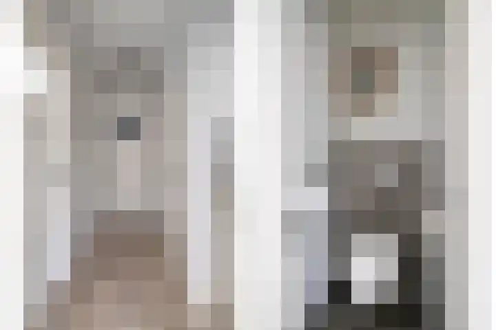 Karel de Vijfdestraat 3 's-Hertogenbosch thumbnail 19