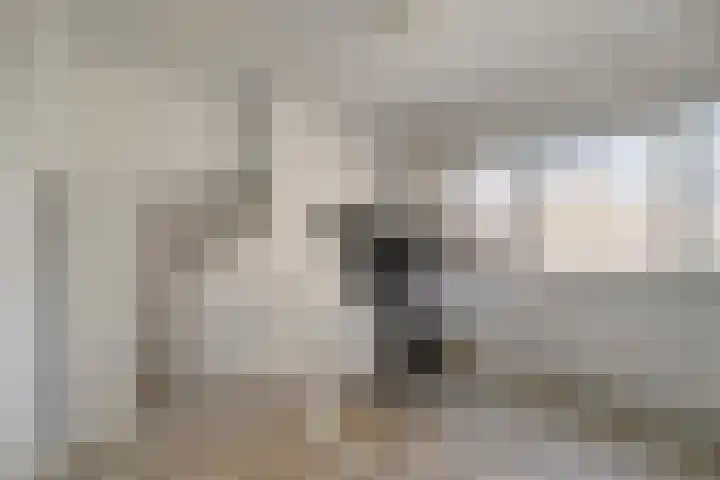 Karel de Vijfdestraat 3 's-Hertogenbosch thumbnail 22