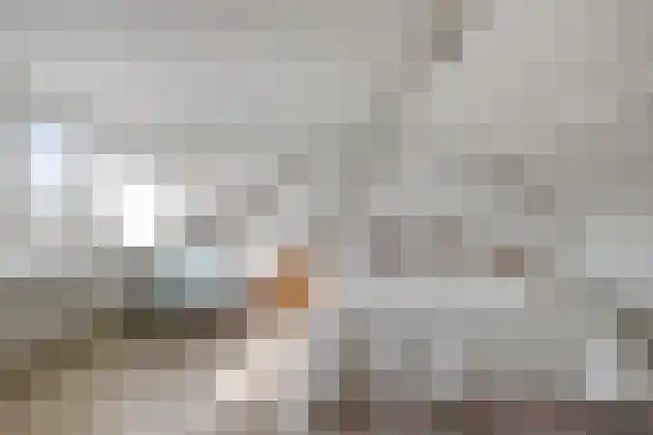 Karel de Vijfdestraat 3 's-Hertogenbosch thumbnail 23