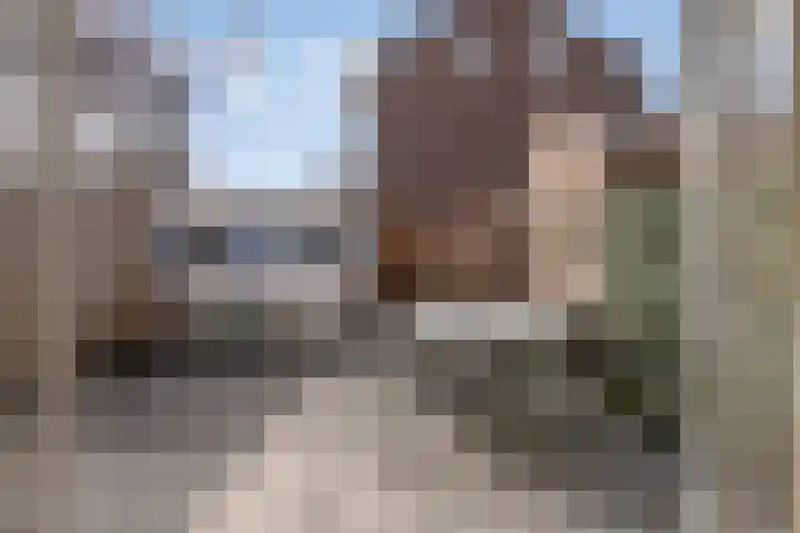 Karel de Vijfdestraat 3 's-Hertogenbosch thumbnail 29