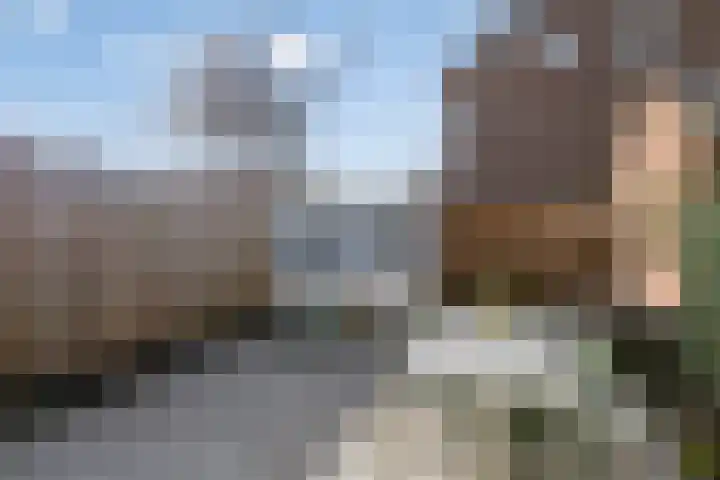 Karel de Vijfdestraat 3 's-Hertogenbosch thumbnail 31