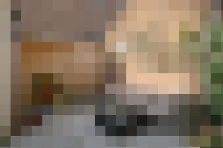 Karel de Vijfdestraat 3 's-Hertogenbosch thumbnail 32