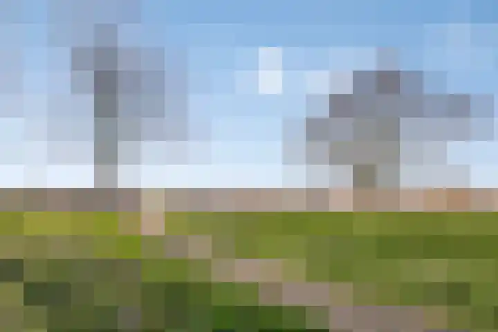 Karel de Vijfdestraat 3 's-Hertogenbosch thumbnail 38