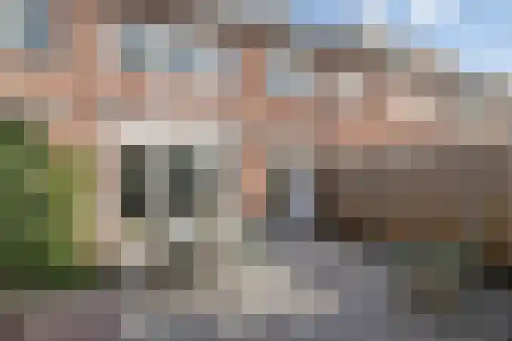 Karel de Vijfdestraat 3 's-Hertogenbosch thumbnail 4