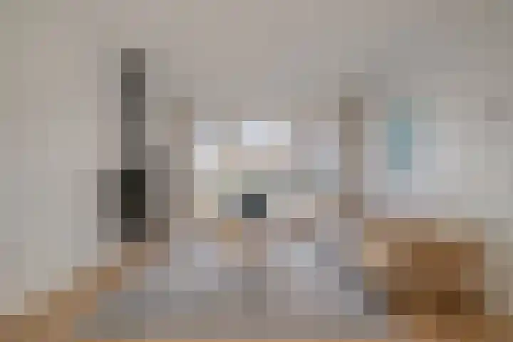 Karel de Vijfdestraat 3 's-Hertogenbosch thumbnail 9