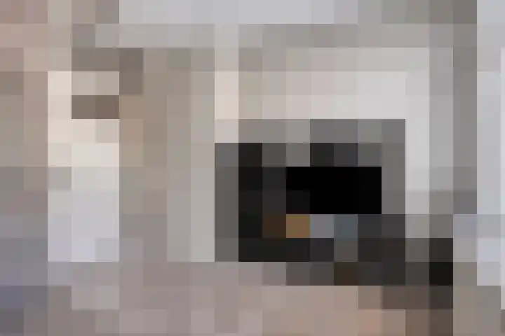 Karel Doormanhof 461 B Rotterdam thumbnail 5