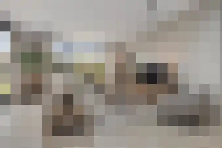 Karel Doormanlaan 1 A Oirschot thumbnail 17