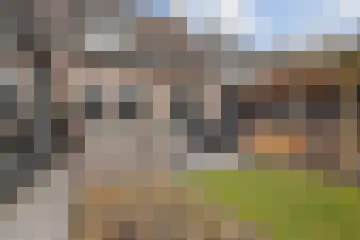 Karel Doormanlaan 1 A Oirschot thumbnail 50