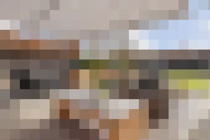 Karel Doormanlaan 1 A Oirschot thumbnail 51