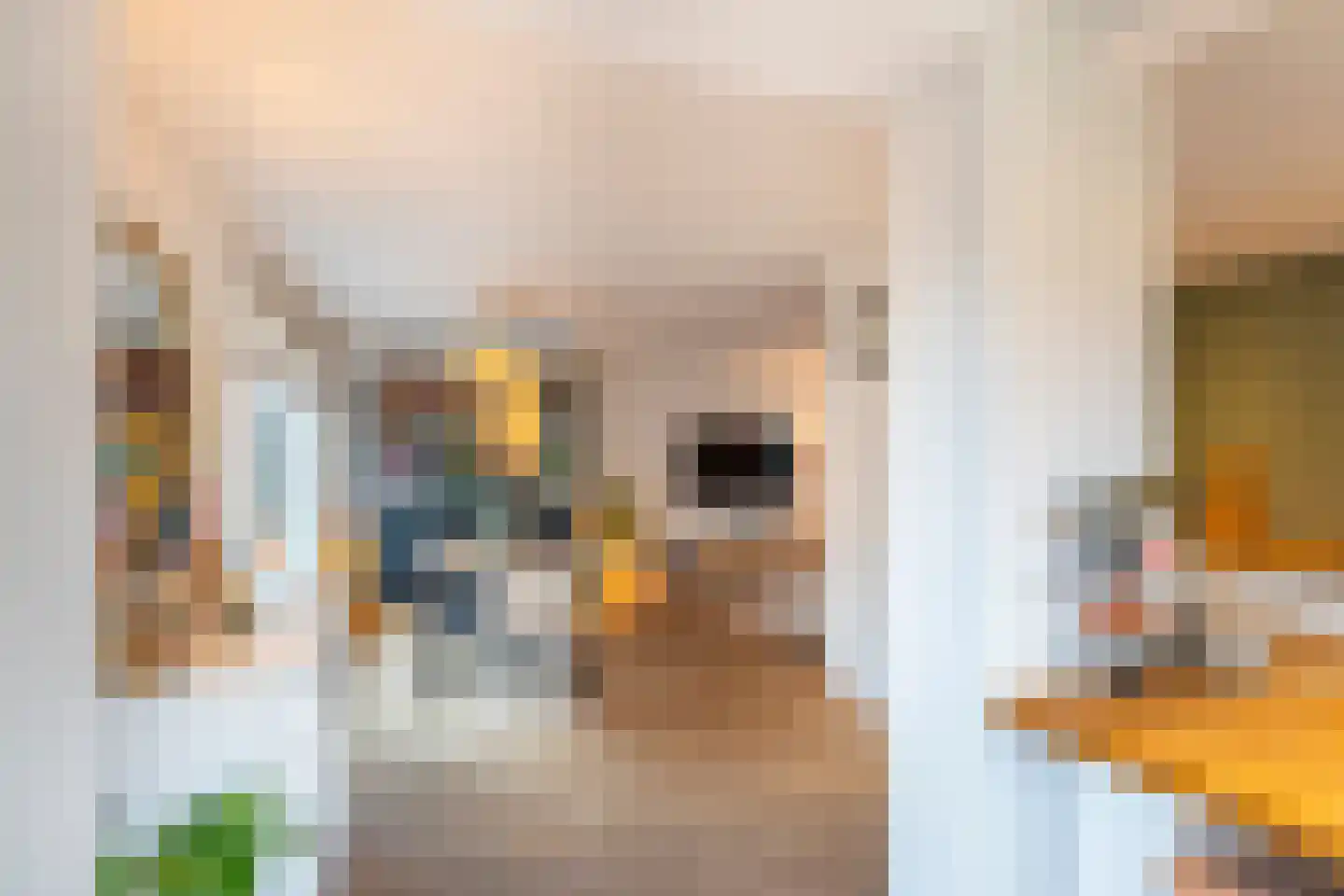 Karel Doormanlaan 1 Oegstgeest thumbnail 14