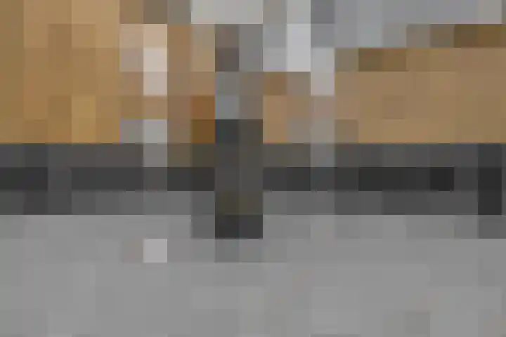 Karel Doormanlaan 10 Bleiswijk thumbnail 19