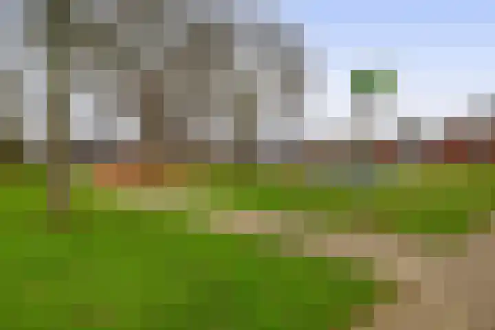 Karel Doormanlaan 10 Bleiswijk thumbnail 40