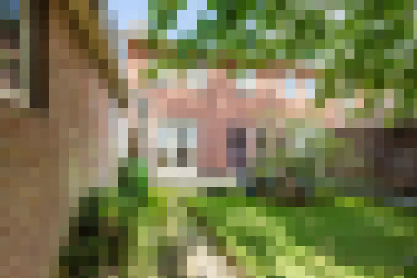 Karel Doormanlaan 10 Harderwijk thumbnail 32