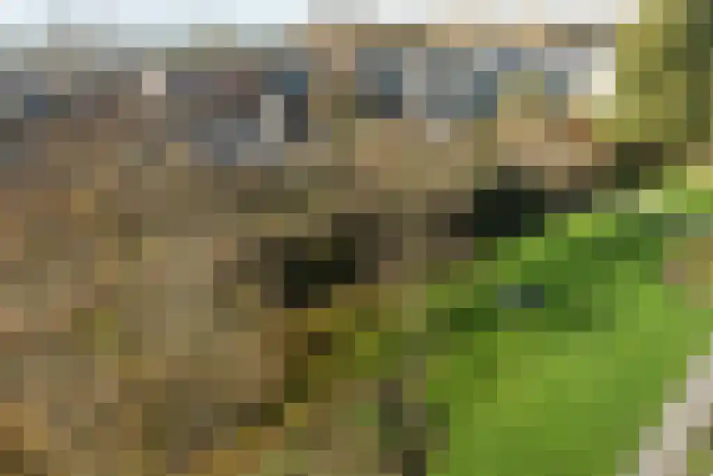 Karel Doormanlaan 103 Utrecht thumbnail 31
