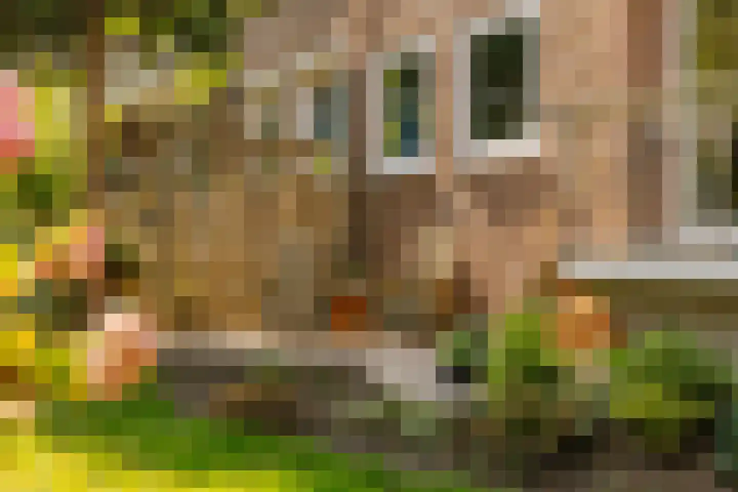 Karel Doormanlaan 112 Haarlem thumbnail 17