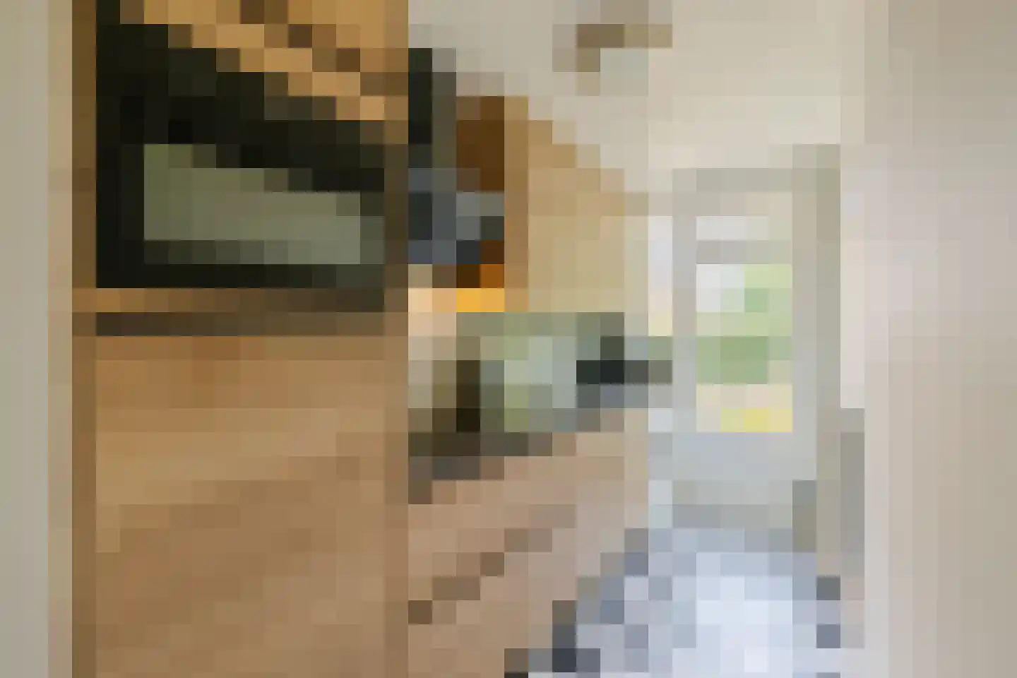 Karel Doormanlaan 112 Haarlem thumbnail 4