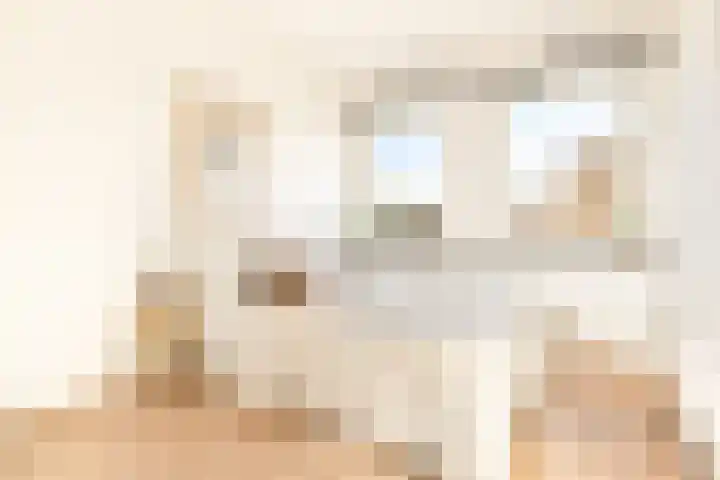 Karel Doormanlaan 116 Haarlem thumbnail 22