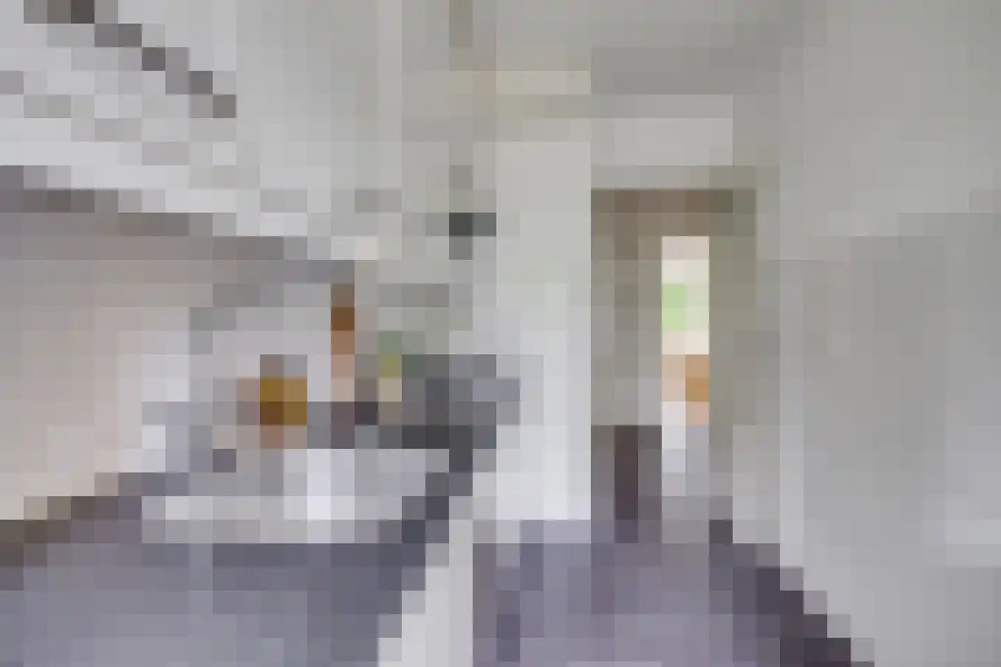 Karel Doormanlaan 118 Utrecht thumbnail 19